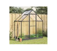 Serre avec cadre de base anthracite 169x114x202 cm aluminium Multicolore G