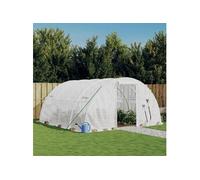 vidaXL Serre avec Cadre en Acier Blanc 16 m² 4x4x2 m