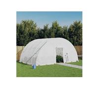 Serre avec cadre en acier blanc 24 m² 6x4x2,85 m, polytunnel, serre à cadre froid, serre pour tomate, serre de 3188116