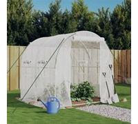 Serre avec cadre en acier blanc 4 m² 2x2x2 m Blanc G