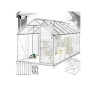 Serre de jardin - TECTAKE - Serre de jardin 11,13 m³, avec fondations, porte coulissante, 2 fenêtres, 185x250x195cm - Transparent
