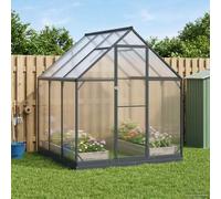 Vidaxl Serre De Jardin Avec Porte Anthracite 183,5 X 423,5 X 207 Cm