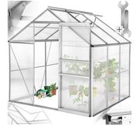Serre de jardin - TECTAKE - Serre de jardin 5,85 m³, sans fondations, porte coulissante, 185 x 190 x 195 cm - Transparent