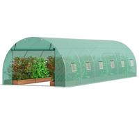 Serre tunnel accessible 29,2 x 9,7 x 6,5 pieds Cadre galvanisé Couverture en PE Vert