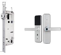 Serrure de porte biométrique intelligente, contrôle par application WiFi, plusieurs possibilités de déverrouillage, argent 4585
