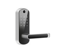 Serrure de Porte Intelligente Tuya Wifi à Empreinte Digitale, Application de Contrôle à Distance, Sans ran Tactile, NFC, IP67, Argent