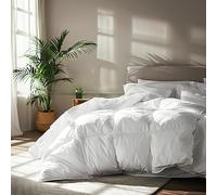 Serta Couette en Coton, Blanc, très Grand lit
