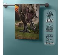 Serviette De Plage Jurassic World 70 X 140CM