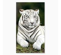 Serviette de Plage Tigre Blanc 90x170