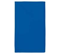Serviette de Sport Microfibre Proact 50 X 100 Cm Bleu TU