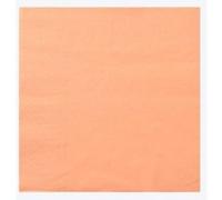 Serviette Ouate 20x20 cm Mandarine Ecolabell Colis de 4000 Manufacture De L'Ephemere Blanc G