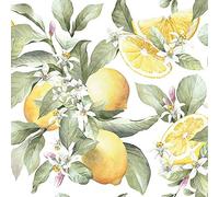 Serviettes de table Ambiente - Lot de 20 - Multicolore - 33 x 33 cm - 3 épaisseur - Papier - Biodégradables - Pour jardin, été et décoration de table - Découpage / Technique de serviette