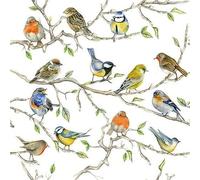 Serviettes de table - AMBIENTE - Paquet de 20 - 3 plis - 33x33cm - En papier de soie - Jetable - Motif réunion d'oiseaux
