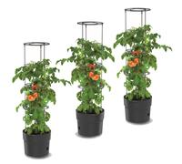 Set 3x plante de tomate en plastique bac de plantation 18 L, cultivateur de tomates, pot de tomates, cache-pot, légumes, tomates lavant