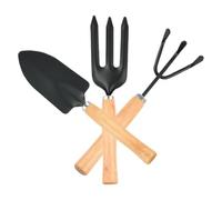 Set D’Outils de Jardinage 3 Pièces en Fer et Bois, Poignées Solides | Bêche, Râteau à Main et Outils de Plantation, Antirouille, Finition Lisse, pour Succulentes et Bulbes
