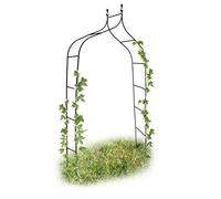 Set de 2 Arches à rosiers courbée avec Pointe, métal 2,4 m, Arceau de Jardin, obélisque, tuteur Plantes grimpantes, Vert