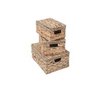 Set de 3 boîtes de rangement HWC-C23, avec couvercle, jacinthe d'eau