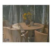 Palram - Canopia moustiquaire en polyester pour pavillon Milano 4300 Martinique 5000 Gris