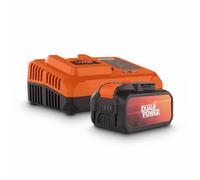 Set de Batterie et Chargeur Powerplus Dual Power POWDP9064 - Batterie 2,5 Ah et 5,0 Ah de 2x20 V et Chargeur 4 A - pour Outils de Bricolage sans Fil de 20 V et 40 V - Plateforme de Batterie