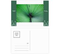 Set de cartes postales - Cartes Nature - Notes Marque - Imprimé double face - 20 Pcs - Multi Couleurs