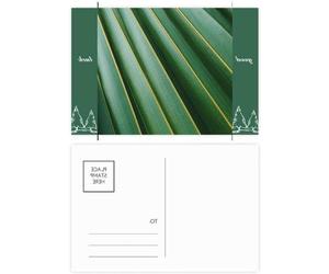 Set de cartes postales - Cartes vertes - Notes Marque - Avec les règles d'adresse - 20 Pcs - Multicolore