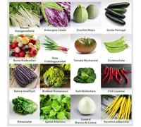 Set de graines de plantes potagères PRADEMIR-16 variétés de légumes-Graines 100% naturelles du Portugal