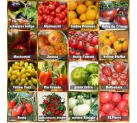 Set de graines de tomates PRADEMIR-16 variétés de tomates-Graines 100% naturelles du Portugal