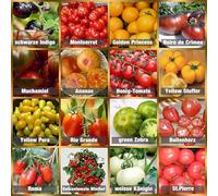Set de graines de tomates PRADEMIR - 16 variétés de tomates - Graines 100% naturelles du Portugal - Variétés rares et anciennes à haut taux de germination.