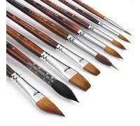 Set de pinceaux aquarelle professionnels - 9 pièces en poils de martre rouge et de écureuil