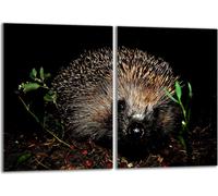 Set de plaques de recouvrement pour cuisinière 2x40x52 cm Couverture de la plaque vitrocéramique en verre Protection contre les éclaboussures, hérisson animal