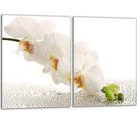 Set de plaques de recouvrement pour cuisinière 2x40x52 cm Couverture de la plaque vitrocéramique en verre Protection contre les éclaboussures, Orchidée blanche