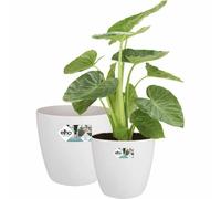 Set de pots de fleurs Elho blanc plastique rond 2 pièces