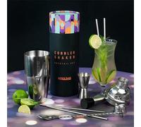 Set de shakers en acier inoxydable