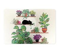 Set de Table avec Un Chat sur Une étagère au Milieu de Plantes