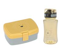 Set lunch box about friends lion (0,46 l)