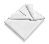 SETEX 14u2090150025002 (SE1) Protection de Matelas Coton Blanc 270 x 40 x 380 cm