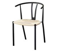 SFANIIX Chaise de Bureau Chaise de Salle à Manger scandinave en rotin Iron Y Word Household B& Tea Room Accoudoir Dossier d'étude Chinoise