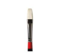 SG Education GOC 283048010 GOG Long Plat Brosse à Poils, G48-2, 10 Taille