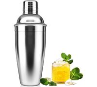 Shaker à Martini avec Passoire Intégrée - Acier Inoxydable gris