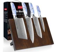 SHANGDAO DAMASCUS CUIET CUILD SETT avec bloc de couteau magnétique, 5 PCS Razor Sharp Kitchen Couteaux en acier damas japonais avec noir, Tang Ergonomic Resin Handle Chef Couteau avec boîte cadeau