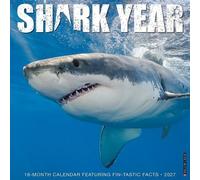 Shark Year 2027 Wall