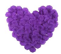 SHATCHI Lot de 200 pétales de Rose en Soie Violet foncé