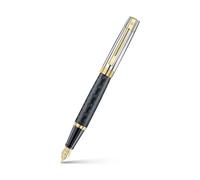 Sheaffer Stylo-plume 300 | E9347 gravé, corps noir mat et capuchon chromé brillant avec ornements dorés PVD, pointe fine, stylo-plume premium