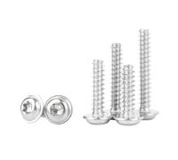 SHENGG Vis autotaraudeuse à tête ronde à Six lobes en acier inoxydable 304 M2 M3 M4 M5, longueur 4 à 30 Mm(M5x25mm(20pcs))