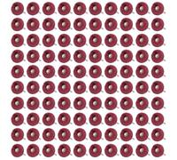 Shineboc Lot de 100 disques abrasifs de 2,5 cm, 2,5 cm, grain 240 | Tige de 3 mm, tampons double couche, accessoires rotatifs pour bijoux en métal, bois, artisanat