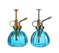 SHINEOFI 2 pièces Arrosoir Verre Vintage avec Pulvérisateur Bouteille Eau Précise pour Plantes Intérieur et Jardin Cadeau Charmant pour Amateurs de Jardinage