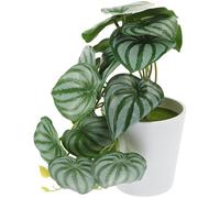 SHINEOFI Plante Artificielle en Plastique et Tissu Soie Bonsaï en Pot Vert et Présent Apaisante de Pendaison de Crémaillère Décoration Bureau ou Maison