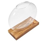 SHINEOFI Station de Propagation et Présentation Racines en Verre Transparent pour Plantes avec Support en Bois, Vase Hydroponique Multifonction pour Décoration Intérieure