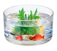 SHINYPASING Vase Verre Rond pour Plante Hydroponique, Jardinière Délicate en Verre Transparent, pour Arrangement Floral la Maison ou Présent Élégant