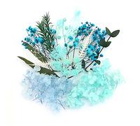 Shiwaki Fleurs Artificielles Simulation Fleurs Bo?Te Conservée Fleur Séchée Plante Bricolage Bougie Résine Fabrication De Bijoux Artisanat Décor Douche Décorations pour La Maison - Humeur Bleue